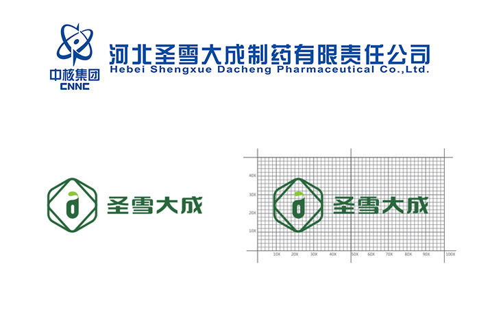 Hebei Shengxue Dacheng Pharmaceutical Co., Ltd
