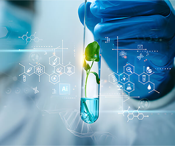 Hebei Shengxue Dacheng Pharmaceutical Co., Ltd