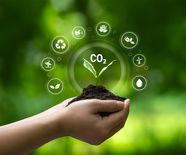 Hebei Shengxue Dacheng Pharmaceutical Co., Ltd