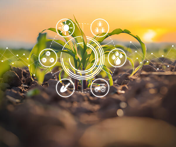 Hebei Shengxue Dacheng Pharmaceutical Co., Ltd